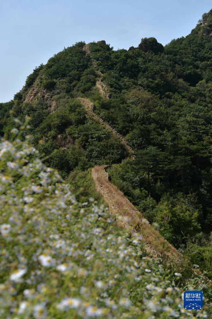 菲娱2区